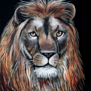 lion head acrylic