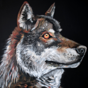 wolf head Seitenansicht