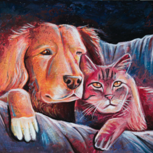 cat and dog