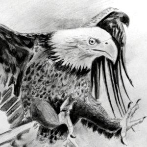 Adler